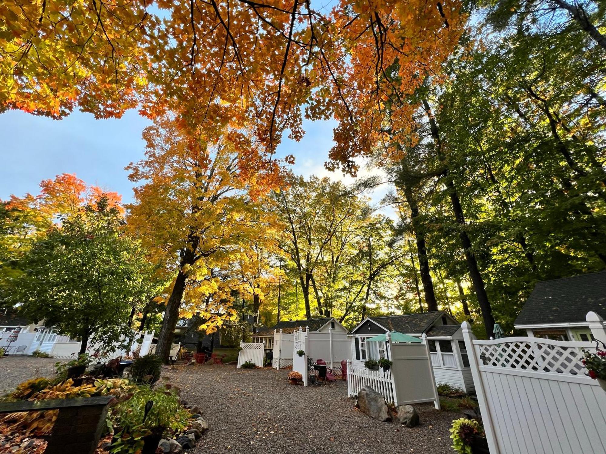 Cottage 10 - 1 Bedroom W/ Loft / 1 Bath Wolfeboro Exterior foto